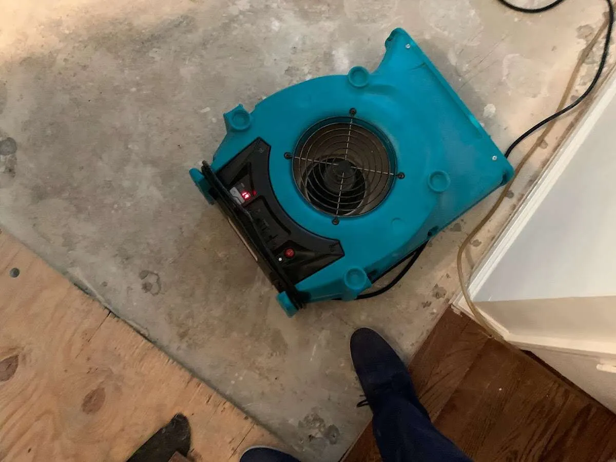 Air mover drying subfloor during Commercial Water Damage Restoration in Peters